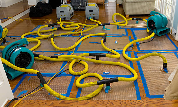 Professional Storm Water Damage Restoration technician working in Burns, WY